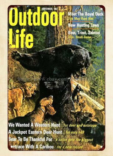 Hunting Dog Outdoor - ของตกแต่งผนังสำนักงาน ปี 1967 ป้ายโลหะลายหมีและสุนัขล่าสัตว์กลางแจ้ง
