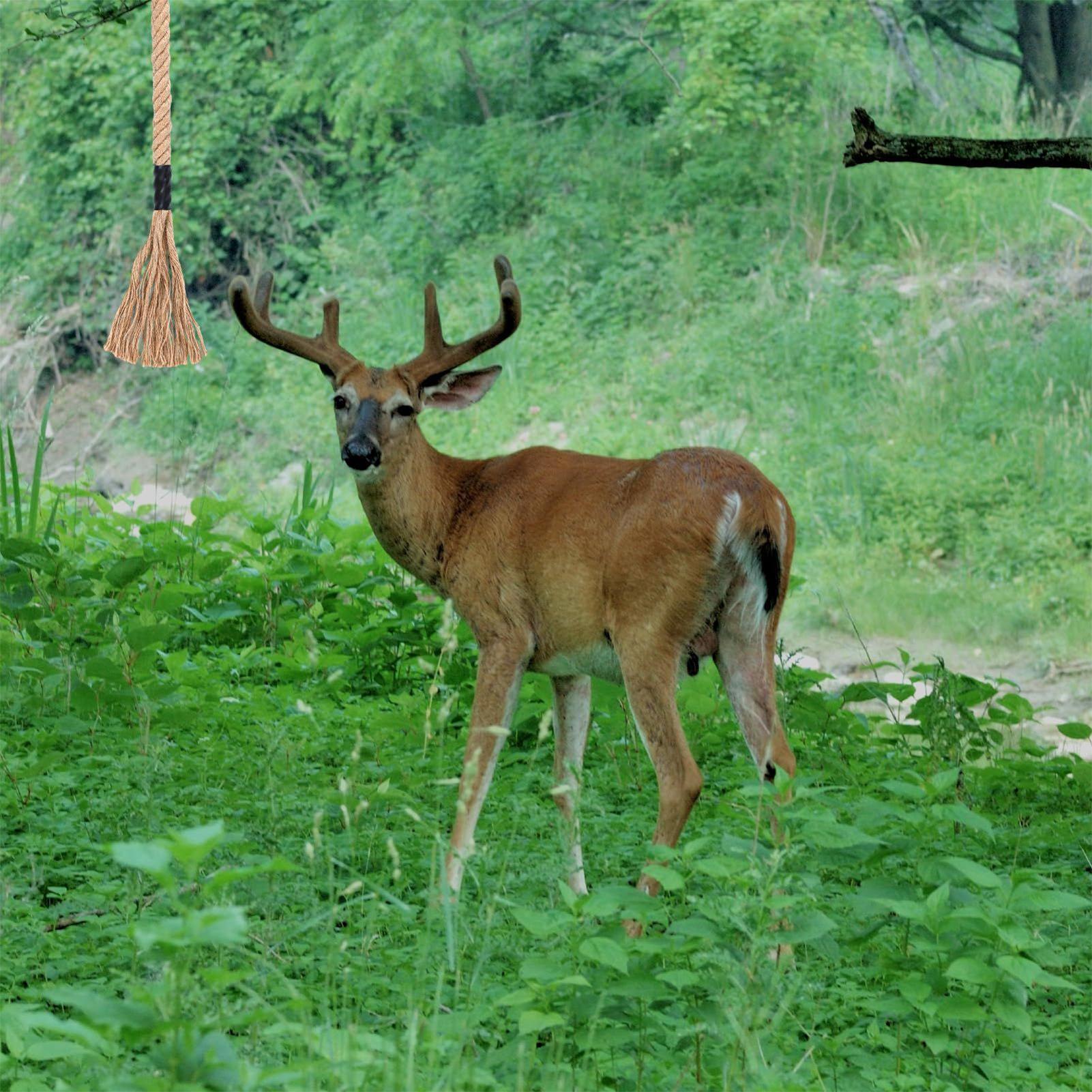 Deer Attractant Scent - น้ำหอมดึงดูดสัตว์ป่าชนิดขี้ผึ้ง กลิ่นติดทนนาน สำหรับเดินป่า ตั้งแคมป์ ป่าไม้ และกิจกรรมกลางแจ้ง