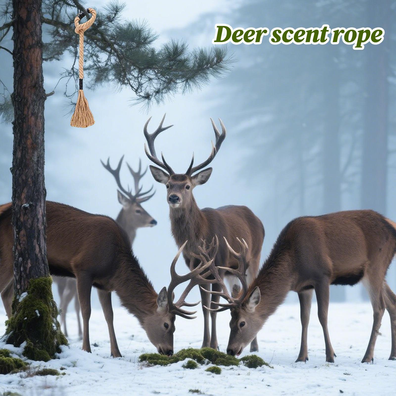 เชือกกลิ่นกวาง กลิ่นหอมติดทนนา - Deer Attractant Scent บทวิจารณ์และราคา