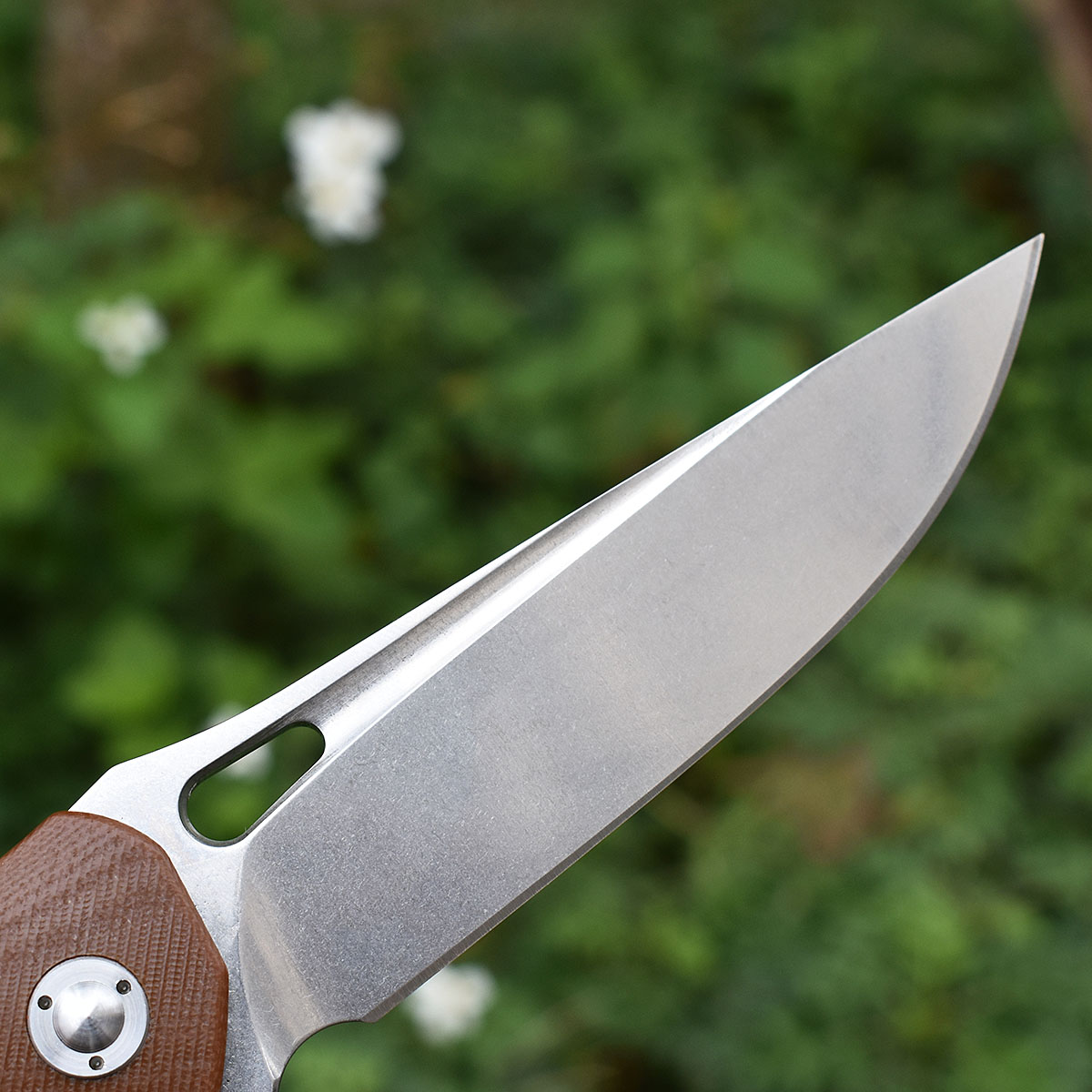 M390 เหล็ก G10 Handle Ball แบร - Hunting And Camping In Jungle บทวิจารณ์และราคา