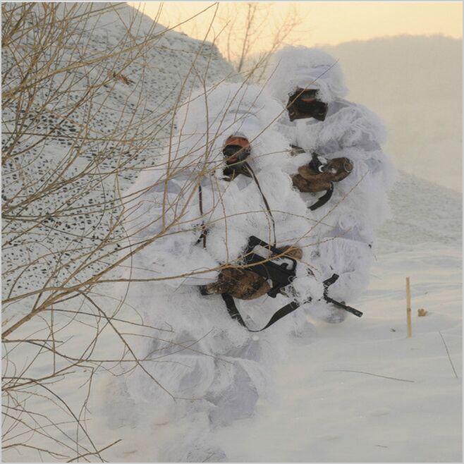 ฤดูหนาว 3D หิมะสีขาว Ghillie ช - Ghillie Suit Woodland บทวิจารณ์และราคา