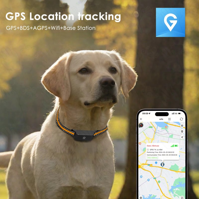 เครื่องติดตาม GPS สำหรับสุนัข  - Hunting Dog Outdoor บทวิจารณ์และราคา